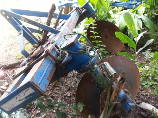 ขายด่วน