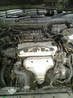 ขาย Honda ขาย Honda