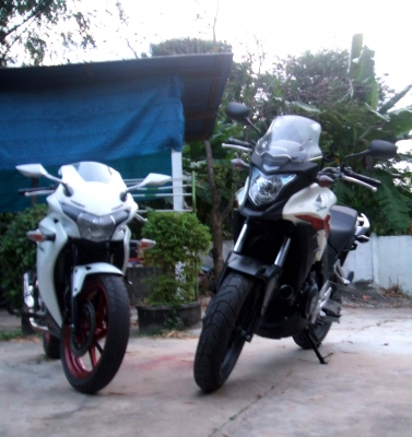 (ขายครับ)จำใจจากลากันCBR 150iรับแลกpcx150สีขาว