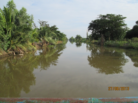 ----ขายบ้านพร้อมทื่ดิน1ไร่เรียบคลอง12ราคาถูกๆ--- ----ขายบ้านพร้อมทื่ดิน1ไร่เรียบคลอง12ราคาถูกๆ---