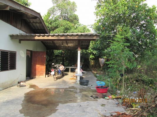 ----ขายบ้านพร้อมทื่ดิน1ไร่เรียบคลอง12ราคาถูกๆ--- ----ขายบ้านพร้อมทื่ดิน1ไร่เรียบคลอง12ราคาถูกๆ---