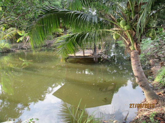 ----ขายบ้านพร้อมทื่ดิน1ไร่เรียบคลอง12ราคาถูกๆ--- ----ขายบ้านพร้อมทื่ดิน1ไร่เรียบคลอง12ราคาถูกๆ---