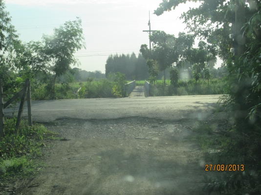 ----ขายบ้านพร้อมทื่ดิน1ไร่เรียบคลอง12ราคาถูกๆ--- ----ขายบ้านพร้อมทื่ดิน1ไร่เรียบคลอง12ราคาถูกๆ---