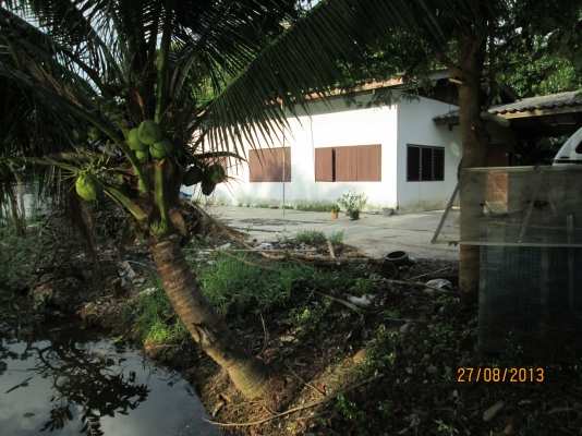 ----ขายบ้านพร้อมทื่ดิน1ไร่เรียบคลอง12ราคาถูกๆ--- ----ขายบ้านพร้อมทื่ดิน1ไร่เรียบคลอง12ราคาถูกๆ---