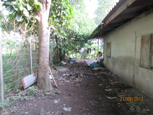 ----ขายบ้านพร้อมทื่ดิน1ไร่เรียบคลอง12ราคาถูกๆ--- ----ขายบ้านพร้อมทื่ดิน1ไร่เรียบคลอง12ราคาถูกๆ---