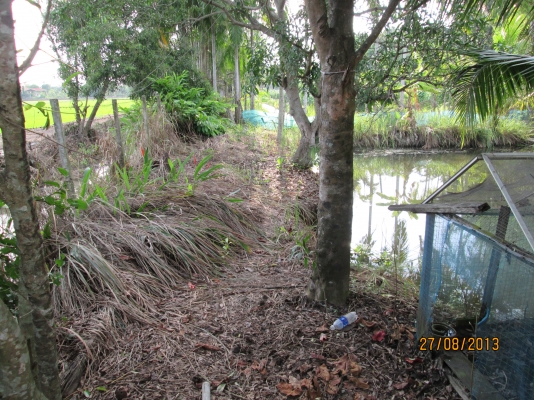 ----ขายบ้านพร้อมทื่ดิน1ไร่เรียบคลอง12ราคาถูกๆ--- ----ขายบ้านพร้อมทื่ดิน1ไร่เรียบคลอง12ราคาถูกๆ---