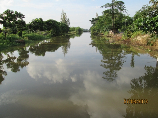 ----ขายบ้านพร้อมทื่ดิน1ไร่เรียบคลอง12ราคาถูกๆ--- ----ขายบ้านพร้อมทื่ดิน1ไร่เรียบคลอง12ราคาถูกๆ---