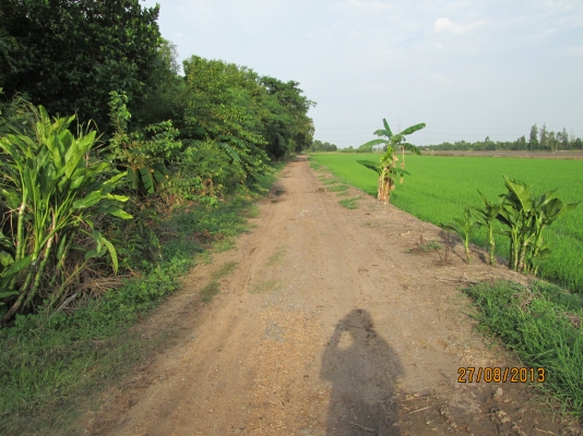 ----ขายบ้านพร้อมทื่ดิน1ไร่เรียบคลอง12ราคาถูกๆ--- ----ขายบ้านพร้อมทื่ดิน1ไร่เรียบคลอง12ราคาถูกๆ---