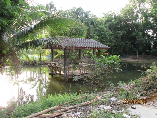 ----ขายบ้านพร้อมทื่ดิน1ไร่เรียบคลอง12ราคาถูกๆ--- ----ขายบ้านพร้อมทื่ดิน1ไร่เรียบคลอง12ราคาถูกๆ---