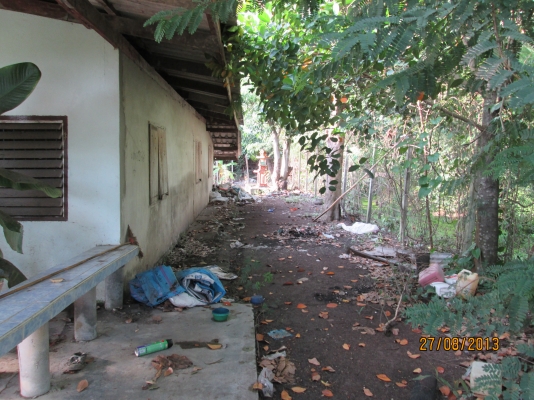 ----ขายบ้านพร้อมทื่ดิน1ไร่เรียบคลอง12ราคาถูกๆ--- ----ขายบ้านพร้อมทื่ดิน1ไร่เรียบคลอง12ราคาถูกๆ---