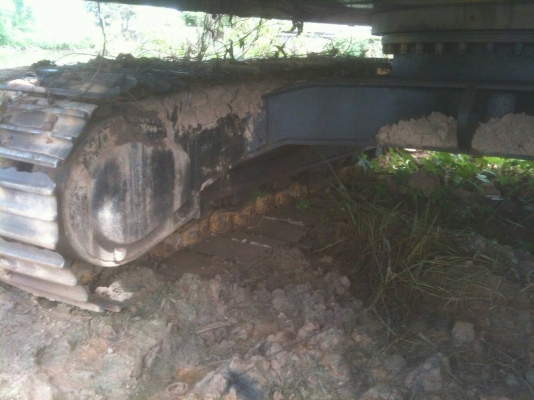 ขายด่วนE200B