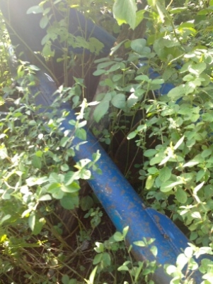 Ford 77 T5 หาง3 หาง6 ใบดัน ยี่ห้อ CMT พร้อมเล่มทะเบียน