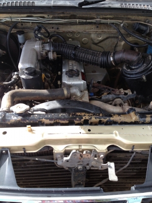 ขาย Big m ฟอนเทีย ปี 03