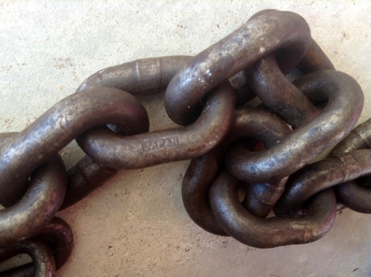 ขายรอกญี่ปุ่น ยี่ห้อ Vital ขนาด 1.5 ตัน