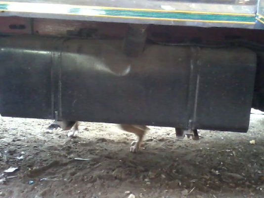 -ขายด่วน NPR 115  เกีรย์สั้นห้างแท้    เดิมๆๆ   ยาวพิเศษ  5 เมตร