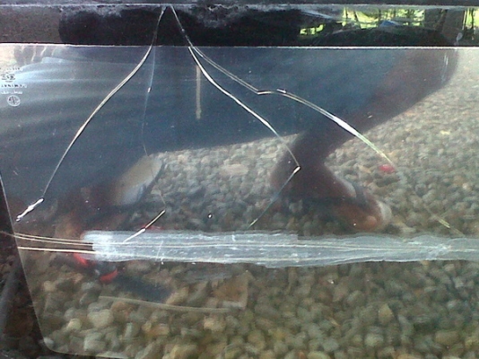 ขายแล้ว