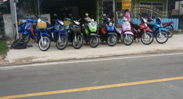 ขายมอไซค์ มีหลายคัน  ราคา  9999 บาท