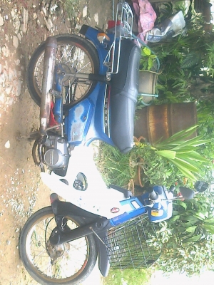 ขายนันธิดา