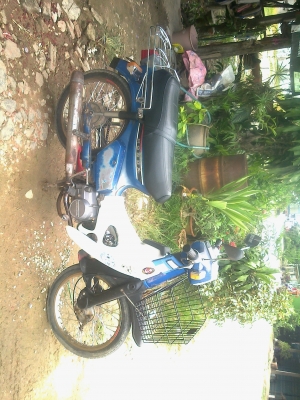 ขายนันธิดา