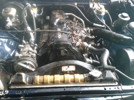 ขายไมตี้ปี97แท้โปร่งหน้าหลัง109000  รถคันนี้ตะเข็บเดิมๆทั้งคัน ไม่ผุไม่บุบ คัสซีสวยมาก (ที่เห็นสีแตกตรงประตูสาเหตุเกิดจากนานมาแล้วโดนขูดขีดเจ้าของเลยไปทำสีได้เวลาสีโป๊แตกเฉยๆ)แอร์เย็นช่วงล่างดีมีพาวเวอร์แต่ใช้ไม่ได้ใส่กระปุกธรารมดาให้เอาไปซ่อมเองเสียงวาวด