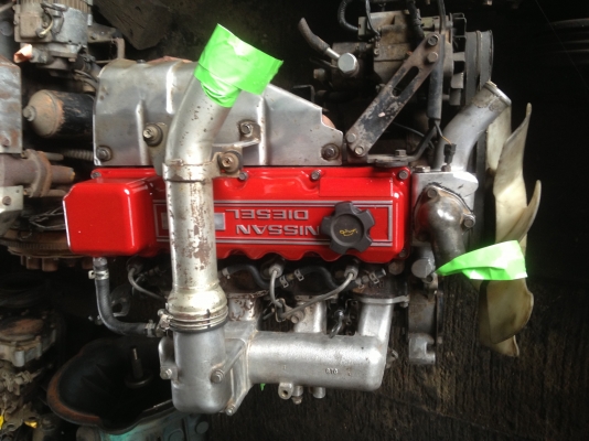 มาใหม่เป็นฝูง