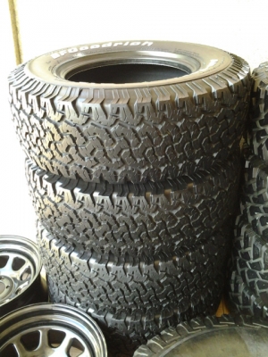 Bf-All-terrain สำหรับสาวกบีเอฟเอาไปใช้ครับ ดอกเต็มๆ