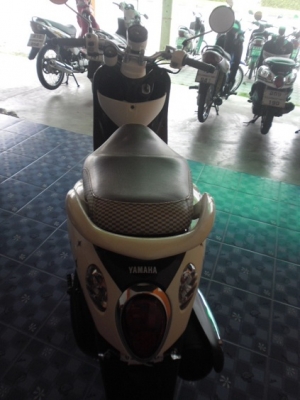 ฟีโน่เกแยกธันวา55(19900ส่งฟรี)