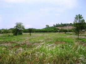 ขายที่ดินว่างเปล่า นส3ก (ทำโฉนดได้แล้ว)