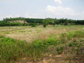 ขายที่ดินว่างเปล่า นส3ก (ทำโฉนดได้แล้ว)