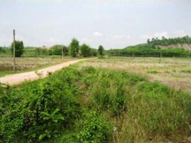 ขายที่ดินว่างเปล่า นส3ก (ทำโฉนดได้แล้ว)