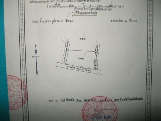 ขายที่ดินว่างเปล่า นส3ก (ทำโฉนดได้แล้ว)