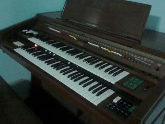 อีเล็คโทนไฟฟ้า รุ่นโกโบริจีบอังสุมาลิน