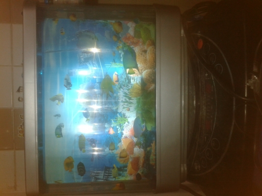 ของแต่งบ้านผมลดราคา200คับ