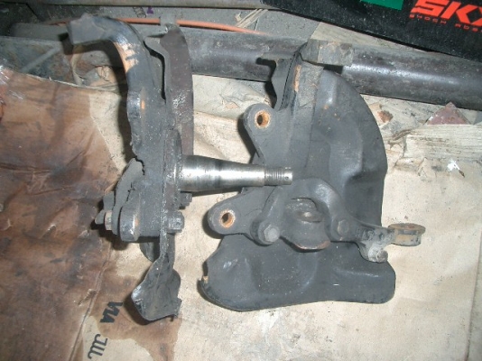 ขายคอม้าไทเกอร์ L-R