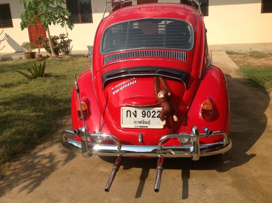 ขายเต่า1967