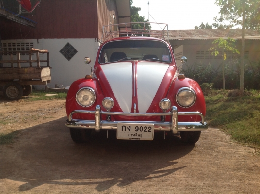 ขายเต่า1967