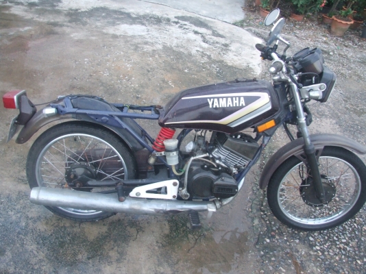 คอร์ด   yamaha   ถูก