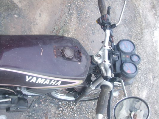 คอร์ด   yamaha   ถูก