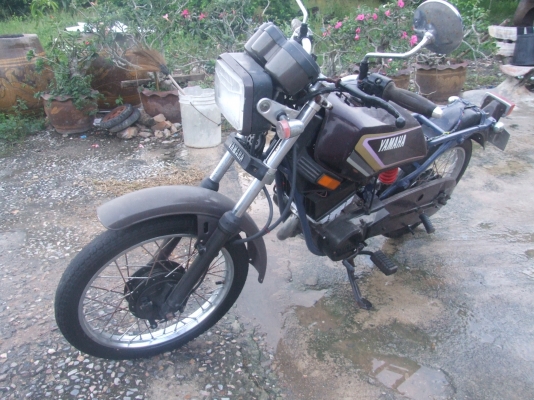 คอร์ด   yamaha   ถูก