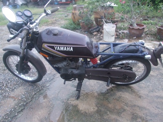 คอร์ด   yamaha   ถูก