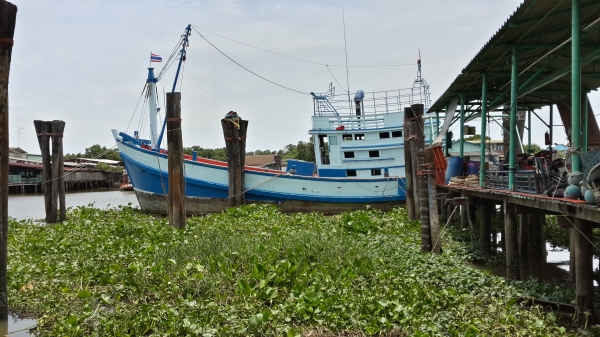 ขายเรือประมงสภาพดี พร้อมใช้งาน