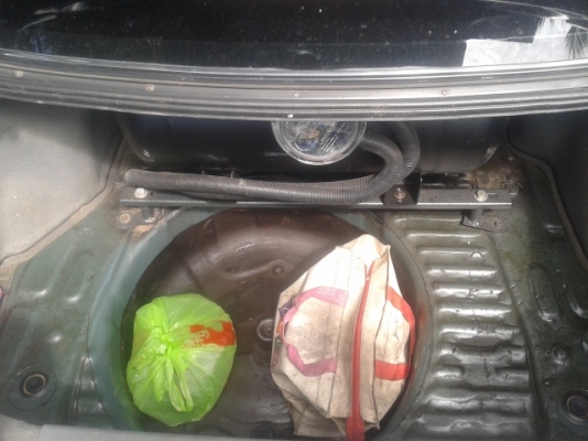 ขายโคโลนาst171