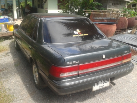 ขายโคโลนาst171