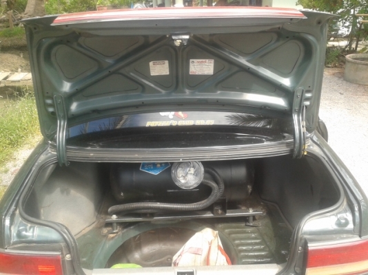 ขายโคโลนาst171