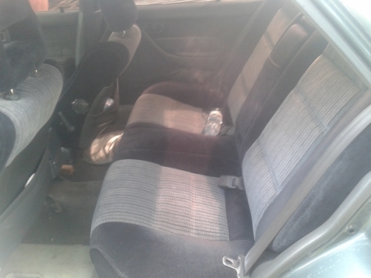 ขายโคโลนาst171