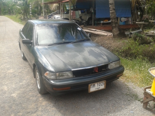 ขายโคโลนาst171