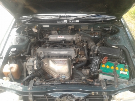 ขายโคโลนาst171