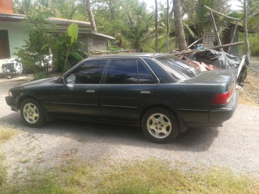 ขายโคโลนาst171