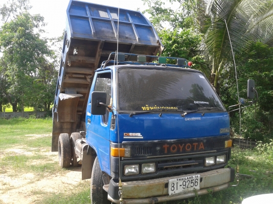 ขายดั้มไดน่า