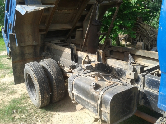 ขายดั้มไดน่า